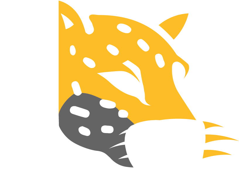 Logo missão